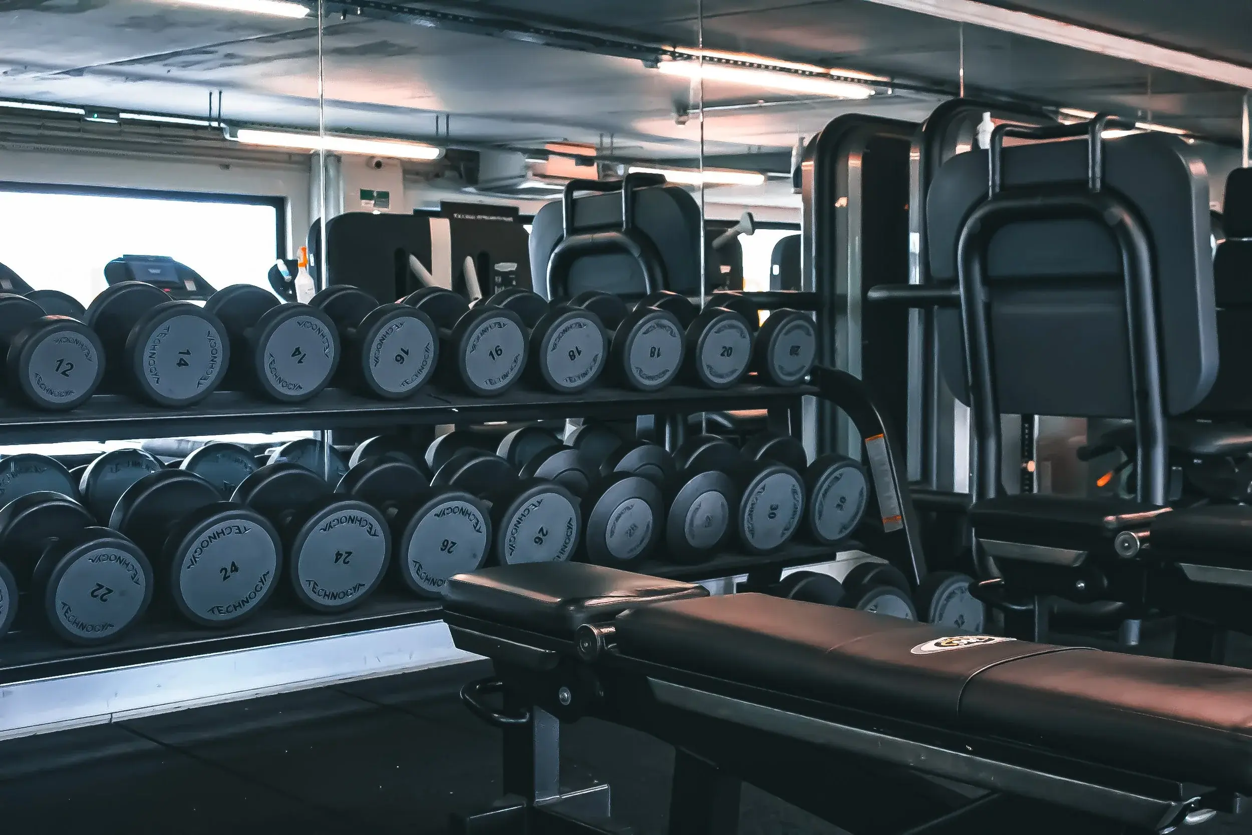 Racked dumbbells on the gym floor